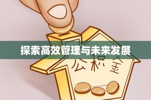 武隆探索高效管理与未来发展