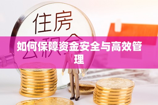 武隆如何保障资金安全与高效管理