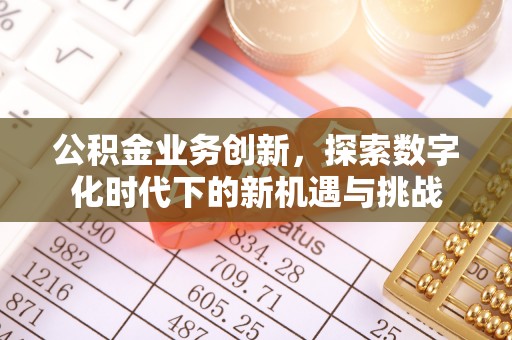 武隆公积金业务创新，探索数字化时代下的新机遇与挑战