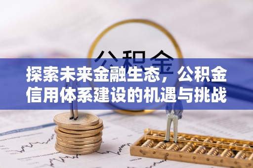 武隆探索未来金融生态，公积金信用体系建设的机遇与挑战