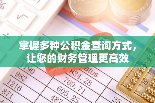 武隆掌握多种公积金查询方式，让您的财务管理更高效