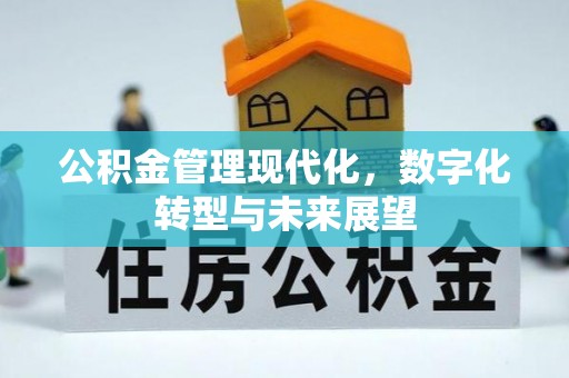 武隆公积金管理现代化，数字化转型与未来展望