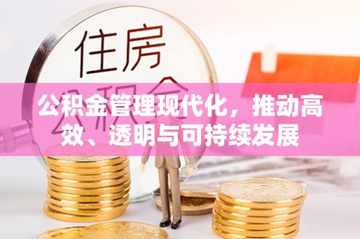 武隆公积金管理现代化，推动高效、透明与可持续发展