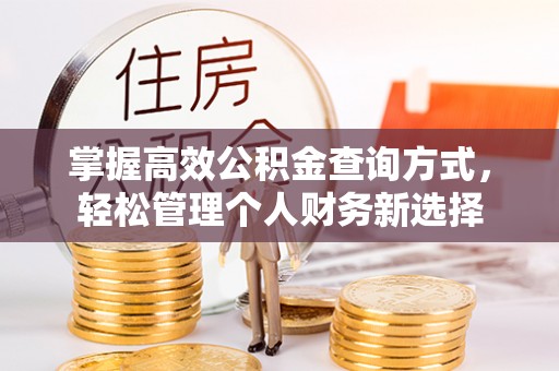 武隆掌握高效公积金查询方式，轻松管理个人财务新选择