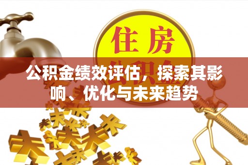 武隆公积金绩效评估，探索其影响、优化与未来趋势