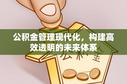 武隆公积金管理现代化，构建高效透明的未来体系