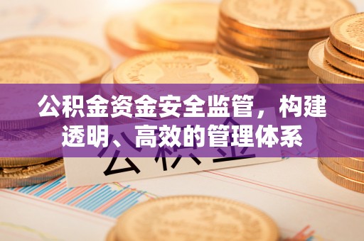 武隆公积金资金安全监管，构建透明、高效的管理体系