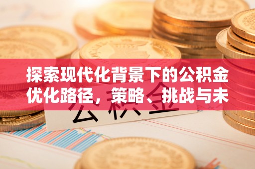 武隆探索现代化背景下的公积金优化路径，策略、挑战与未来展望