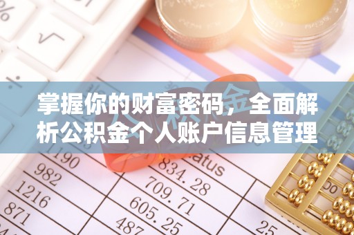 武隆掌握你的财富密码，全面解析公积金个人账户信息管理与优化
