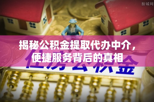 武隆揭秘公积金提取代办中介，便捷服务背后的真相