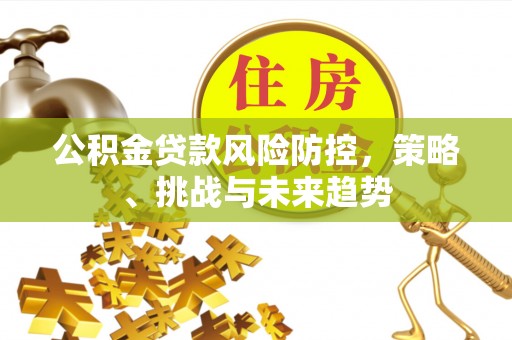 武隆公积金贷款风险防控，策略、挑战与未来趋势
