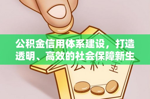 武隆公积金信用体系建设，打造透明、高效的社会保障新生态