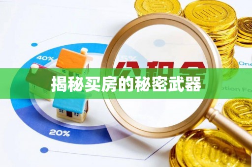武隆揭秘买房的秘密武器
