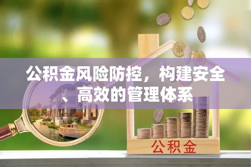 武隆公积金风险防控，构建安全、高效的管理体系