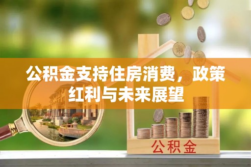 武隆公积金支持住房消费，政策红利与未来展望