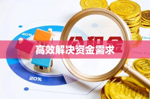 武隆高效解决资金需求