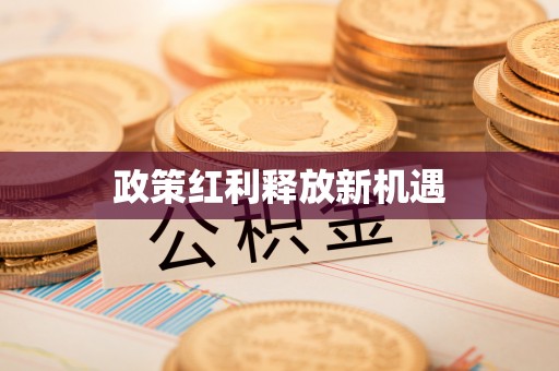武隆政策红利释放新机遇