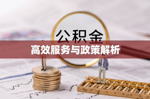 武隆高效服务与政策解析