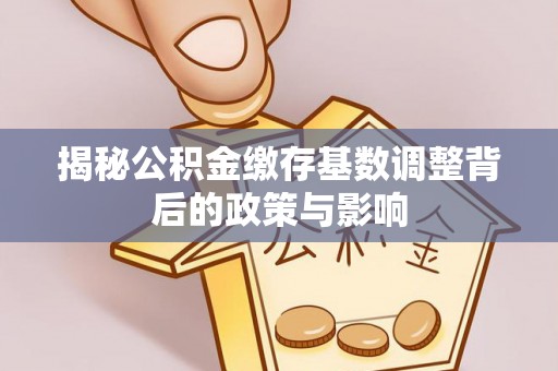 武隆揭秘公积金缴存基数调整背后的政策与影响