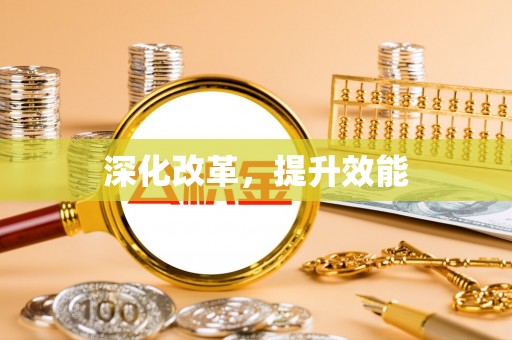 武隆深化改革，提升效能