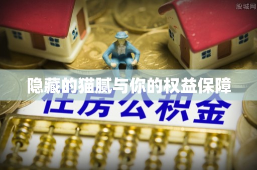 武隆隐藏的猫腻与你的权益保障
