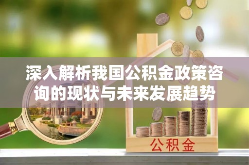 武隆深入解析我国公积金政策咨询的现状与未来发展趋势