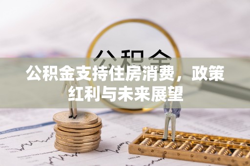 武隆公积金支持住房消费，政策红利与未来展望