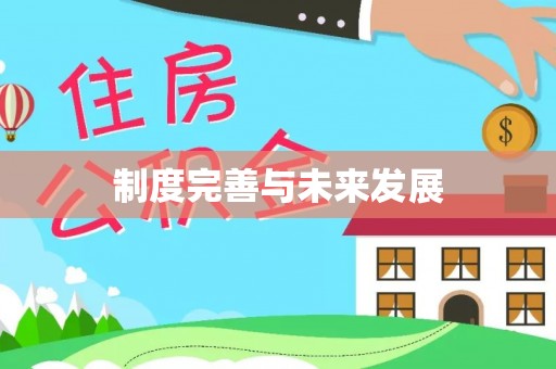 武隆制度完善与未来发展
