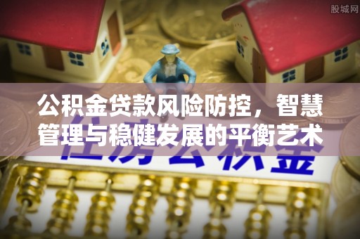 武隆公积金贷款风险防控，智慧管理与稳健发展的平衡艺术