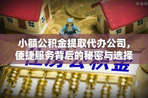 武隆小额公积金提取代办公司，便捷服务背后的秘密与选择指南