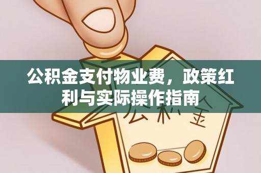 武隆公积金支付物业费，政策红利与实际操作指南