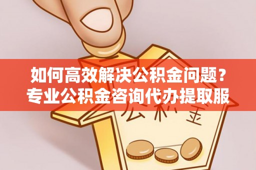 武隆如何高效解决公积金问题？专业公积金咨询代办提取服务来帮你