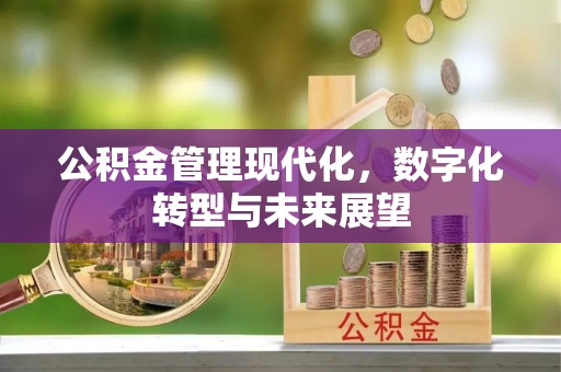 武隆公积金管理现代化，数字化转型与未来展望