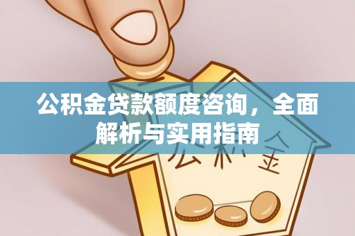 武隆公积金贷款额度咨询，全面解析与实用指南