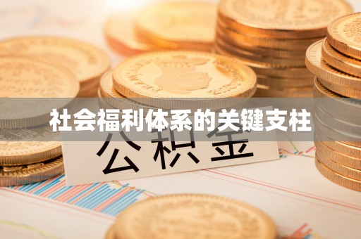 武隆社会福利体系的关键支柱