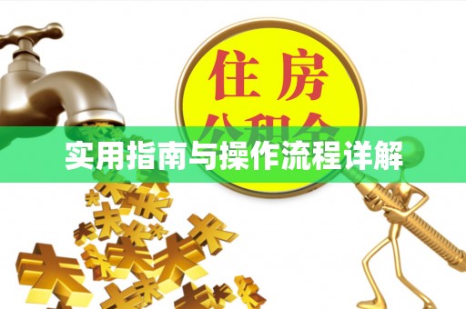 武隆实用指南与操作流程详解