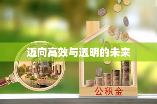 武隆迈向高效与透明的未来