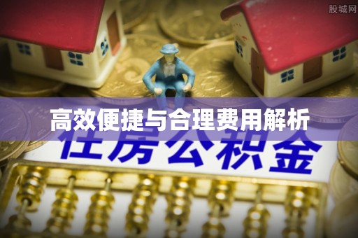 武隆高效便捷与合理费用解析