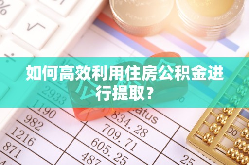 武隆如何高效利用住房公积金进行提取？