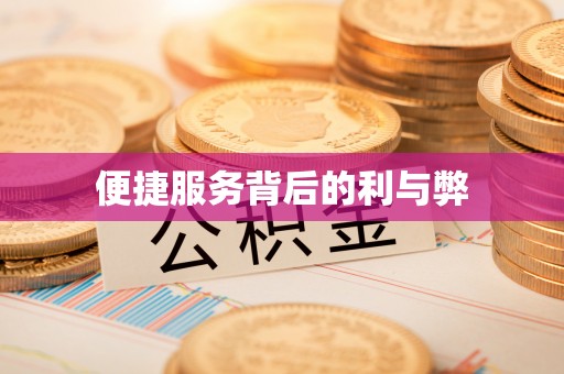 武隆便捷服务背后的利与弊