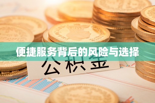 武隆便捷服务背后的风险与选择
