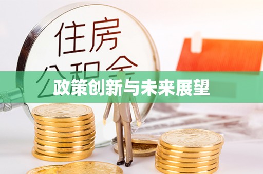 武隆政策创新与未来展望