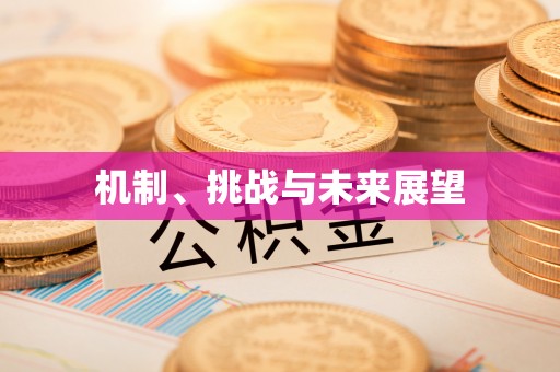 武隆机制、挑战与未来展望